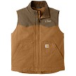Carhartt Brown / Coffee 